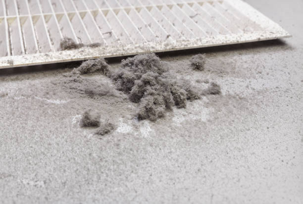 Best HVAC Air Duct Cleaning  in Olcott, NY