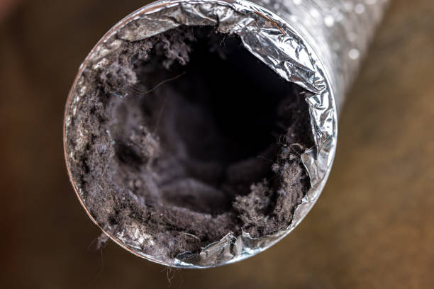 Best HVAC Duct Inspection Services  in Olcott, NY