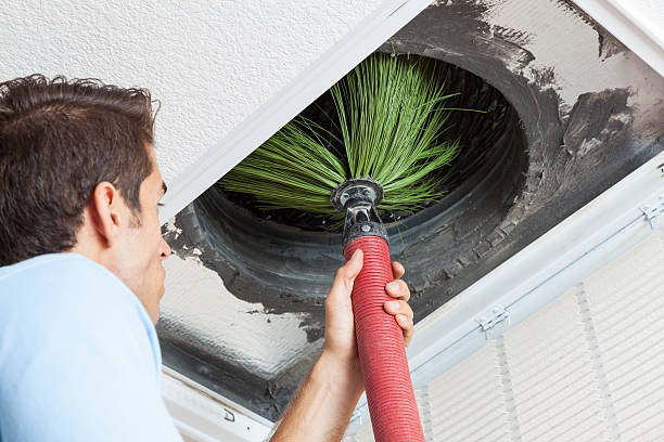 Best Local Air Duct Cleaning Services  in Olcott, NY